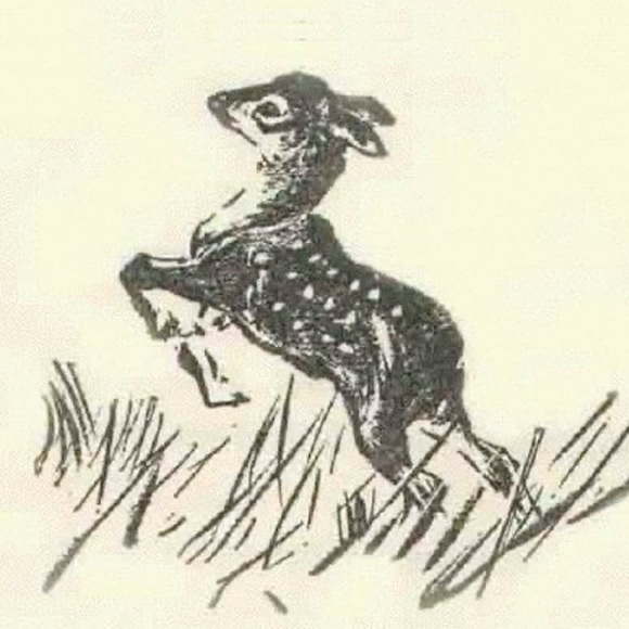 derpygomuffin